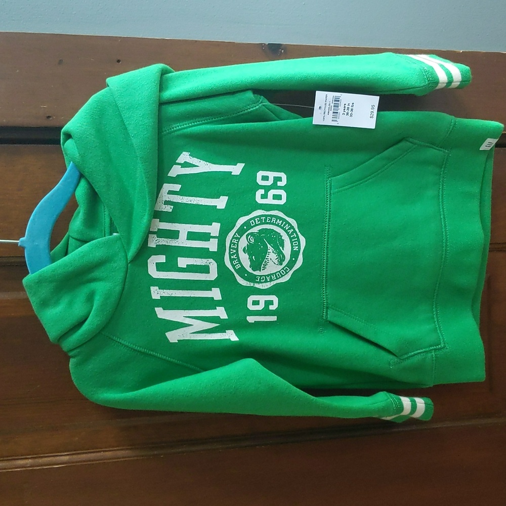 NWT GAP Hooded Sweatshirt